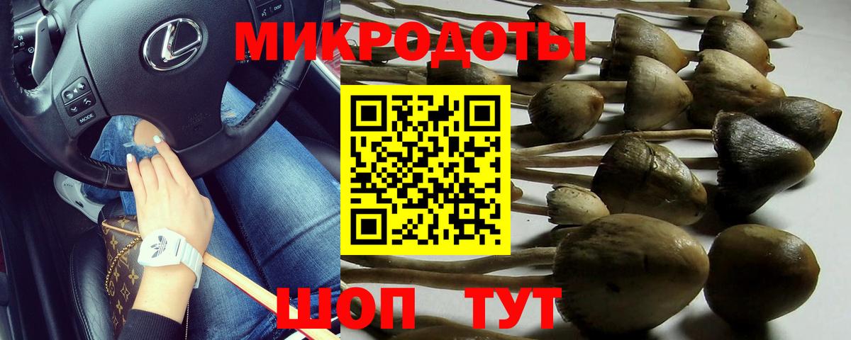 Галлюциногенные грибы MAGIC MUSHROOMS  Вход с VPN  Псилоцибиновые грибы Psilocybine cubensis  Тверь 